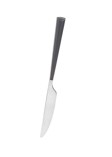 Pack Of 2 | Stainless Steel Dinner Knife - Black