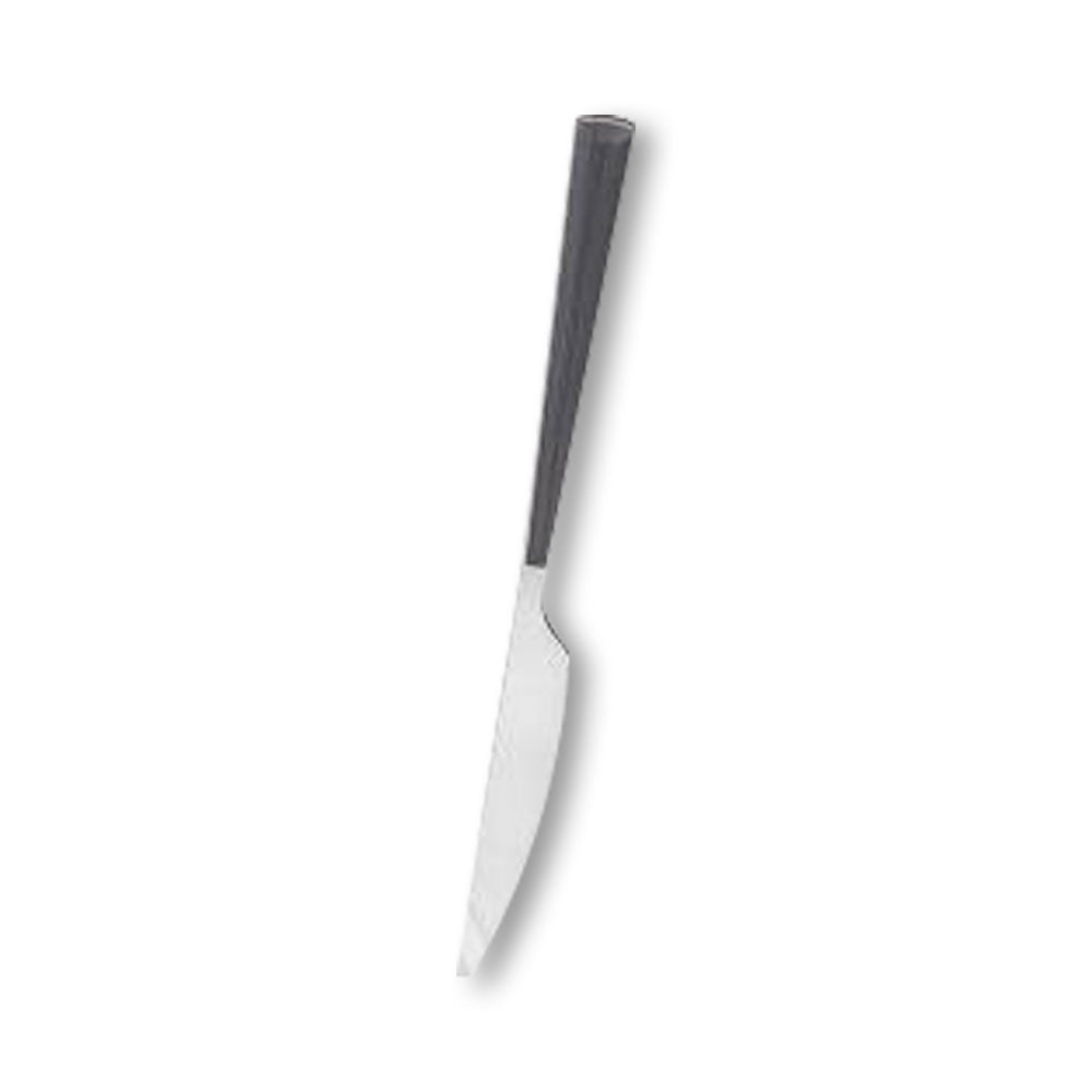 Pack Of 2 | Stainless Steel Dinner Knife - Black