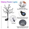 Pack of 2 | Solar cherry blossom lamp (Random Colors)