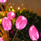 Pack of 3 | With leaves Solar powered three headed tulips (Random Colors)