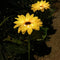 Pack of 2 | Solar Sunflower Lamp (Random Colors)