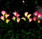 Pack of 4 | Solar powered four headed calla lily (Random Colors)