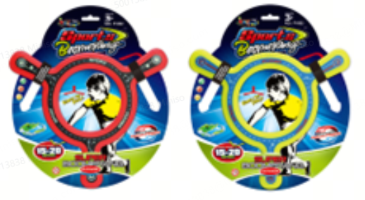 Round Flying Disc (2 Assorted Models)