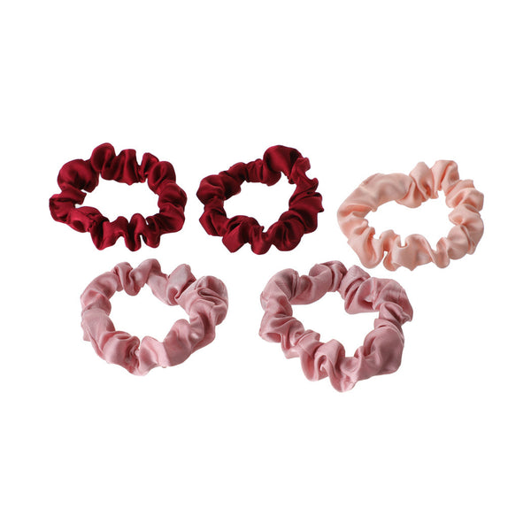 Small Color Gradient Hair Ties (5 pcs, Pink)