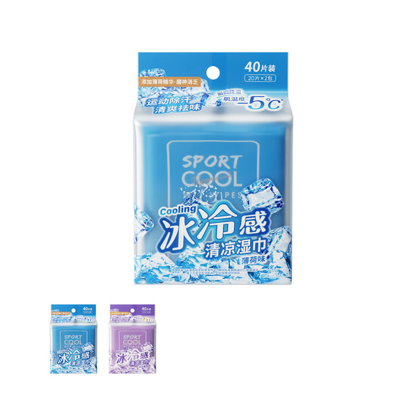 Cooling Series Outdoor Wet Wipes (20 wipes×2 packs)