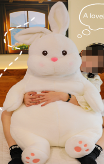 Belly Rabbit (Small) – Miniso Pakistan