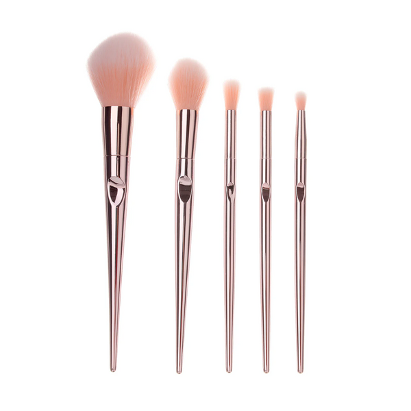 Makeup Brush Set