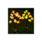 Pack of 2 | Solar Camellia Lantern (Random Colors)