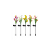 Pack of 4 | Solar powered four headed calla lily (Random Colors)