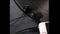 Joyroom Conch plastic Earphone EL112 - black