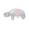 Turtle Plush(Small)